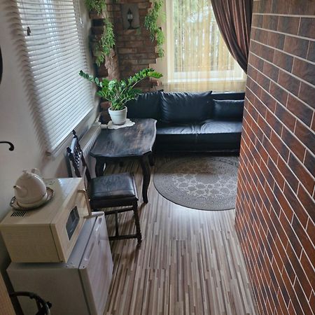 Pas Ligita Apartment Biržai Екстериор снимка