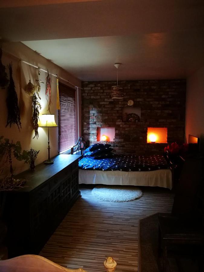 Pas Ligita Apartment Biržai Екстериор снимка